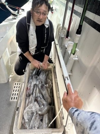 イカ(ヤリイカ)