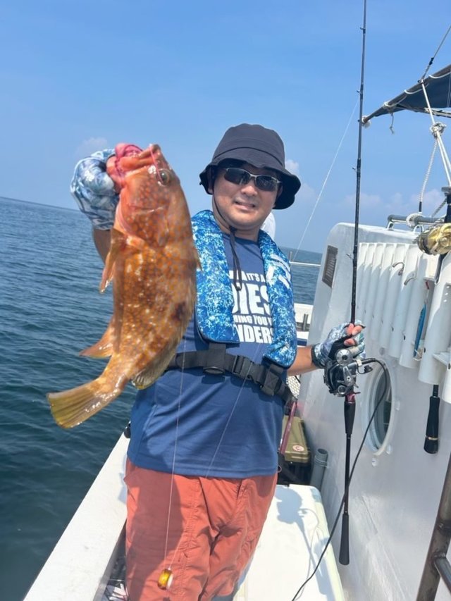 アコウ(キジハタ)