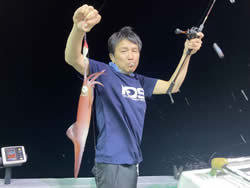 アカイカ(ケンサキイカ)