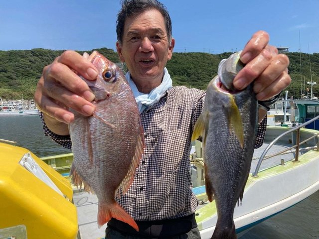 ハナダイ(チダイ)・イサキ