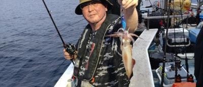 マイカ(ケンサキイカ)