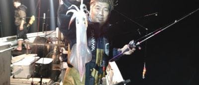 マイカ(ケンサキイカ)