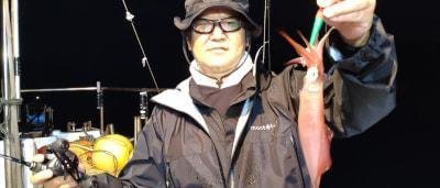 マイカ(ケンサキイカ)