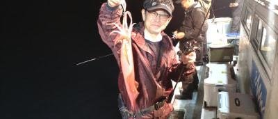 マイカ(ケンサキイカ)