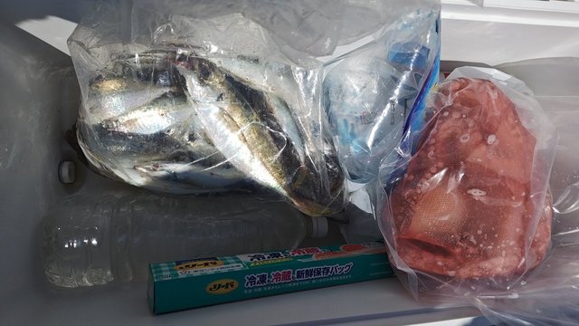 アジ(マアジ)・マダコ