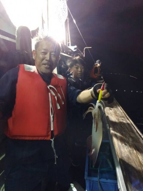 イカ(ヤリイカ)