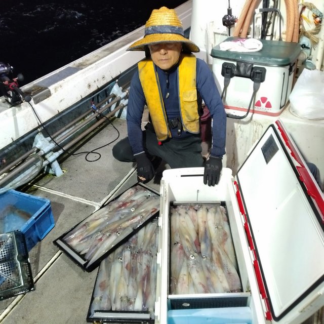 イカ(ケンサキイカ)