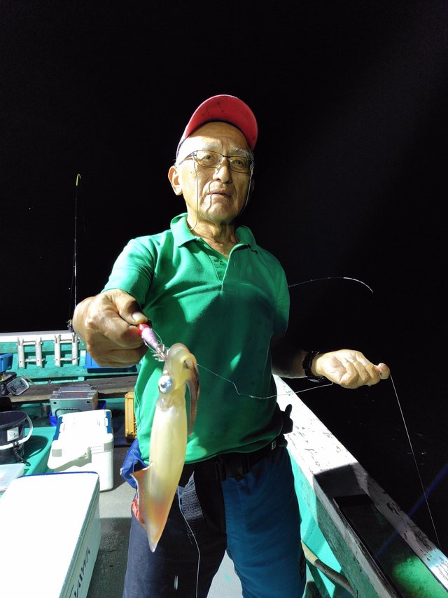 シロイカ(ケンサキイカ)