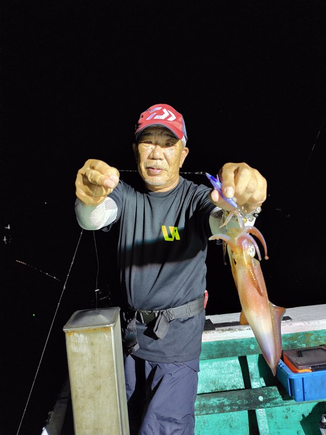 シロイカ(ケンサキイカ)