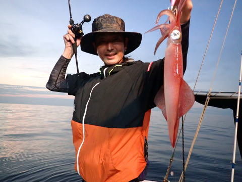 シロイカ(ケンサキイカ)