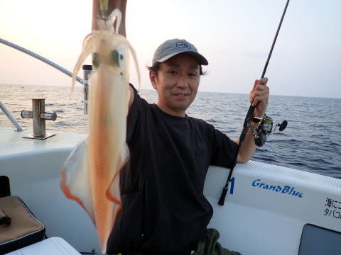 シロイカ(ケンサキイカ)