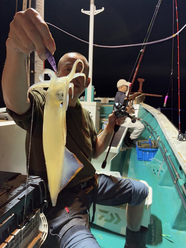 アカイカ(ケンサキイカ)