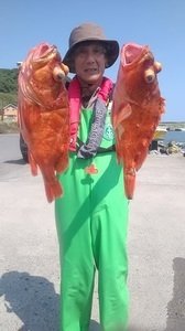 カンコ(ウッカリカサゴ)