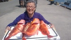 カンコ(ウッカリカサゴ)