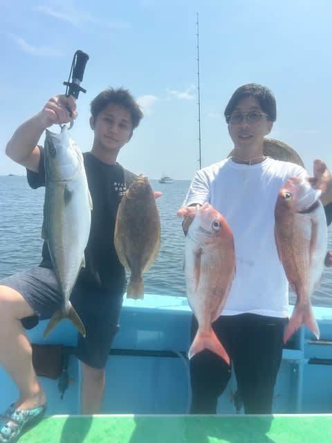 マダイ・ハマチ(ブリ)・ヒラメ