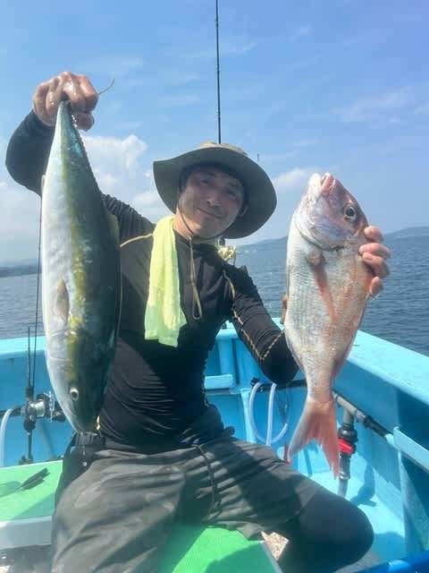 マダイ・ハマチ(ブリ)