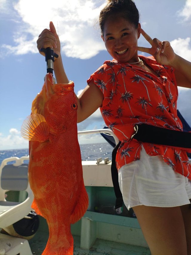 アカジン(スジアラ)