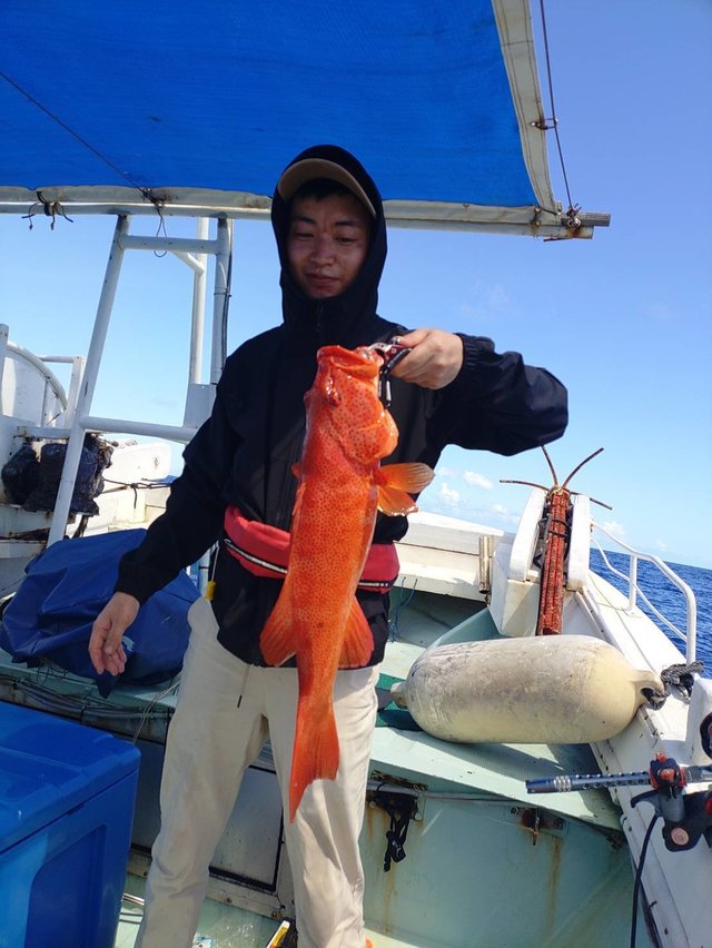 アカジン(スジアラ)