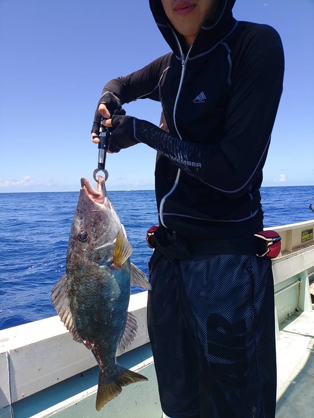 タマン(ハマフエフキ)