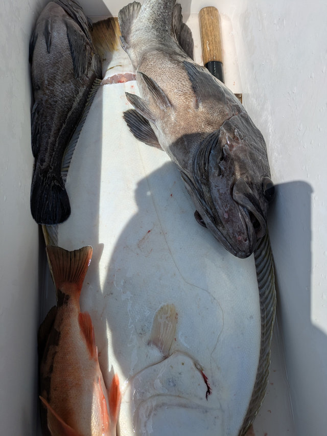 アラ・ウスメバル・ヒラメ