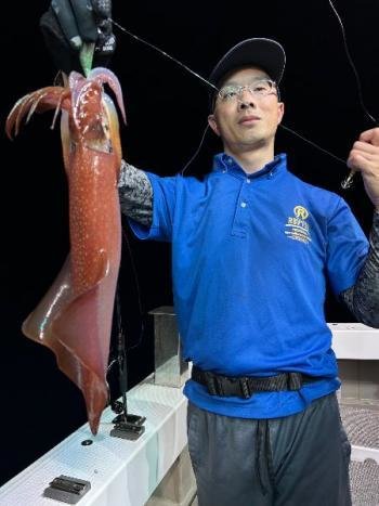 マイカ(ケンサキイカ)