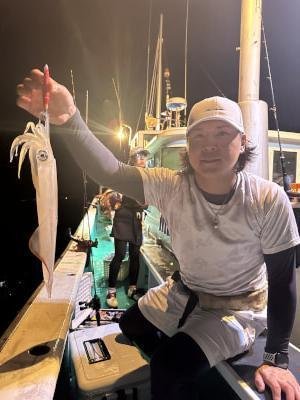 アカイカ(ケンサキイカ)