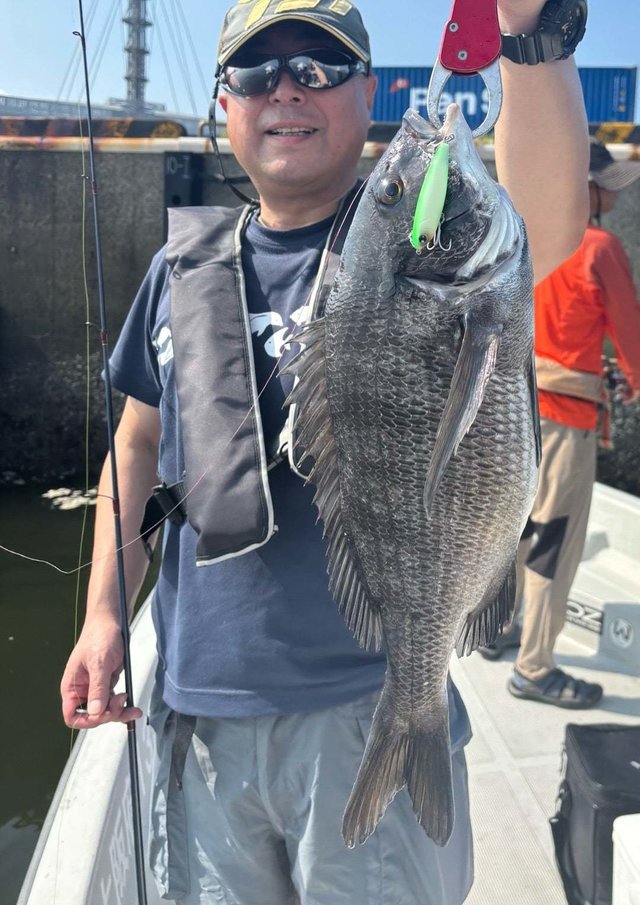 マチヌ(クロダイ)