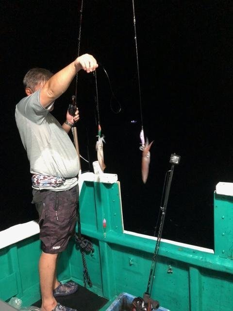 アカイカ(ケンサキイカ)