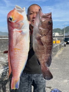 マハタ・アマダイ(アカアマダイ)