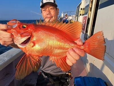 キントキ(チカメキントキ)