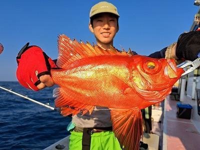 キントキ(チカメキントキ)