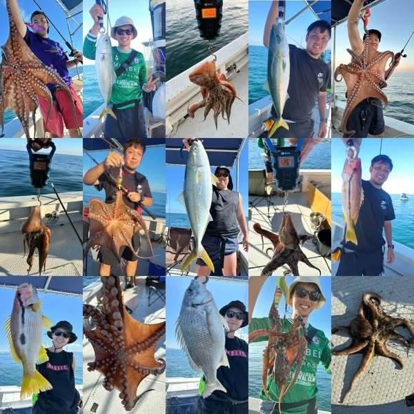 キビレ(キチヌ)・ヨコスジフエダイ・タコ(マダコ)