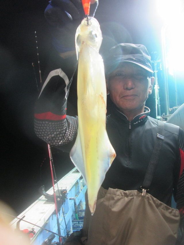 マイカ(ケンサキイカ)