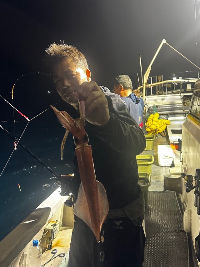 イカ(ケンサキイカ)