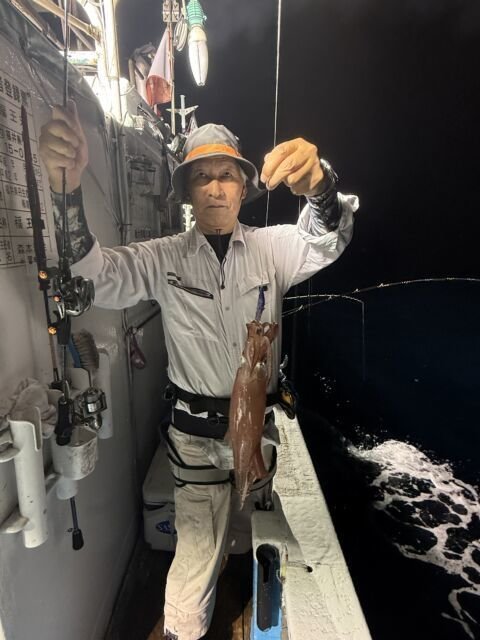 マイカ(ケンサキイカ)