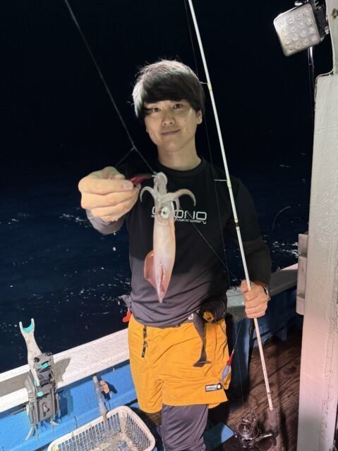 マイカ(ケンサキイカ)