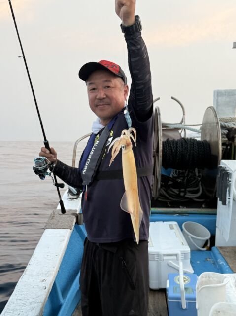 マイカ(ケンサキイカ)