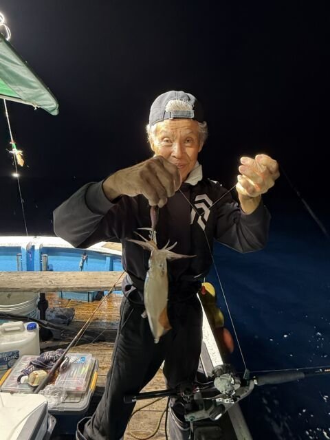 マイカ(ケンサキイカ)