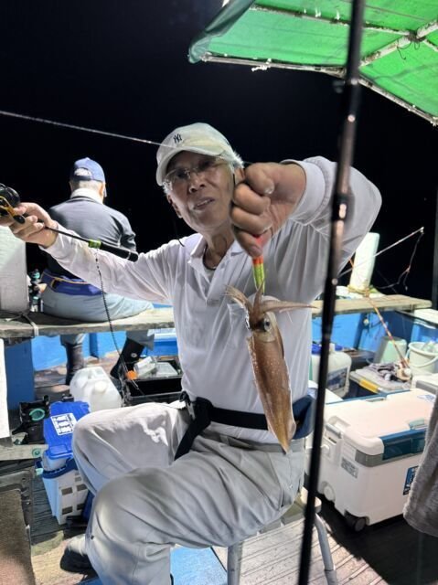 マイカ(ケンサキイカ)