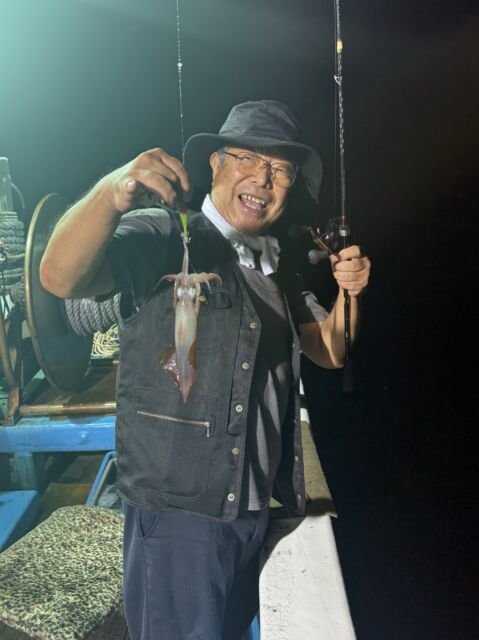 マイカ(ケンサキイカ)