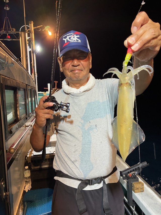 アカイカ(ケンサキイカ)