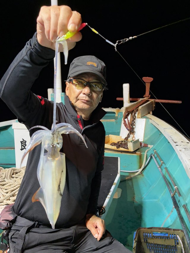 アカイカ(ケンサキイカ)