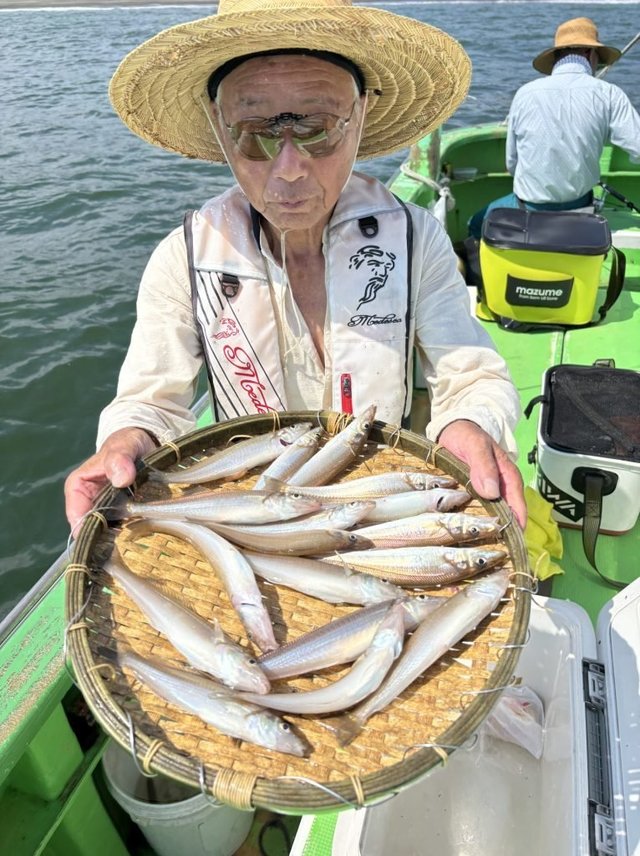 キス(シロギス)