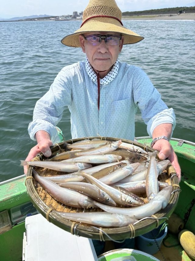 キス(シロギス)