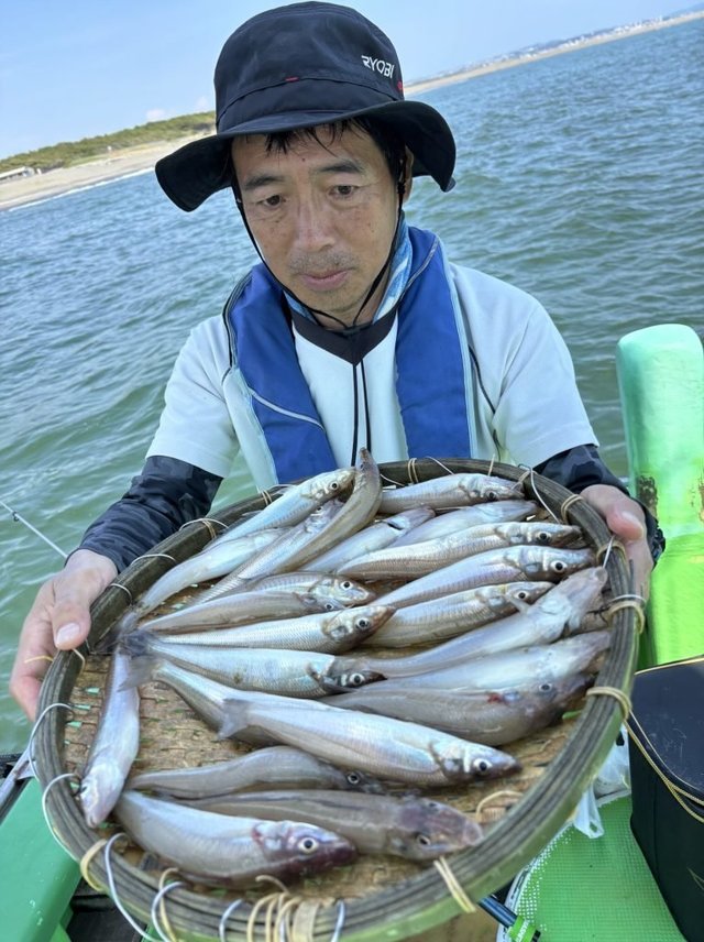 キス(シロギス)