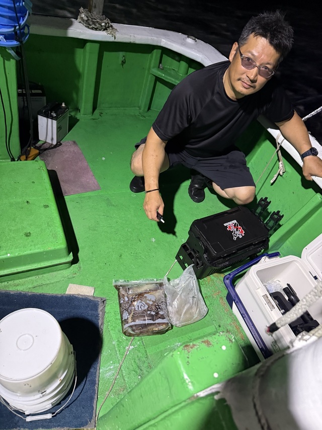 アカイカ(ケンサキイカ)