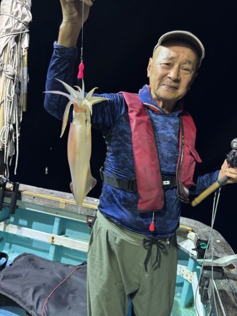 マイカ(ケンサキイカ)