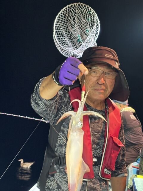 マイカ(ケンサキイカ)