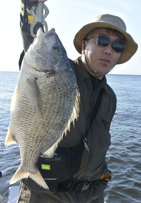 キビレ(キチヌ)