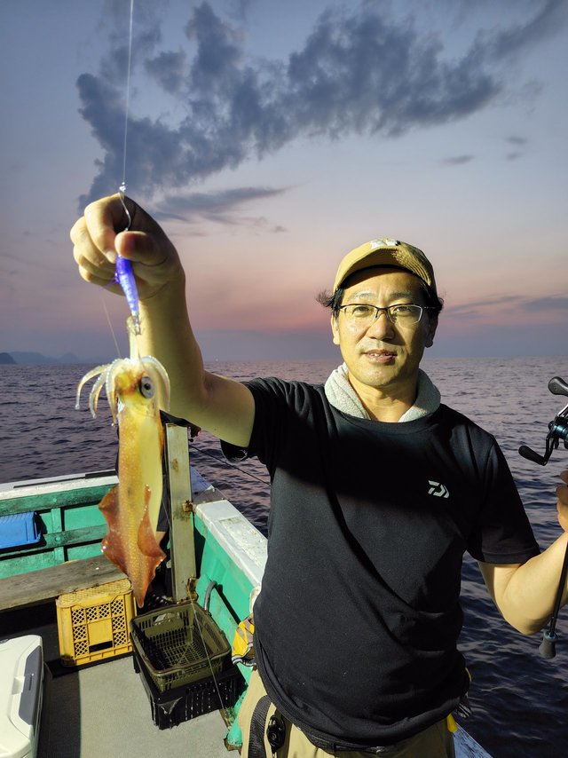 シロイカ(ケンサキイカ)